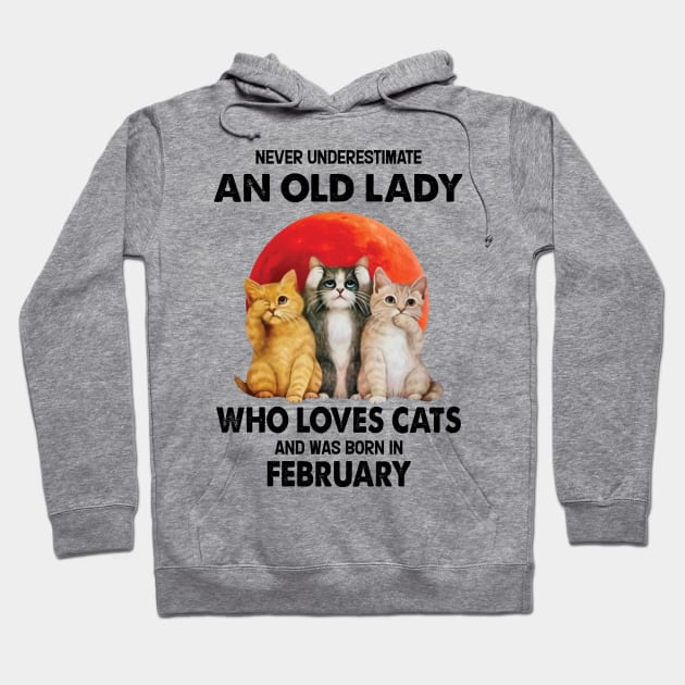 Never Underestimate An Old Lady Who Loves Cats And Was Born In February Hoodie by Bunzaji